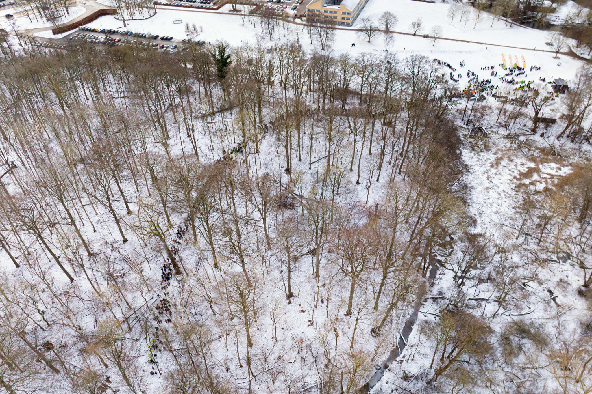 Menneskemængden begiver sig gennem Herlufsholm-skoven som en slange. Foto: Næstved Kommune