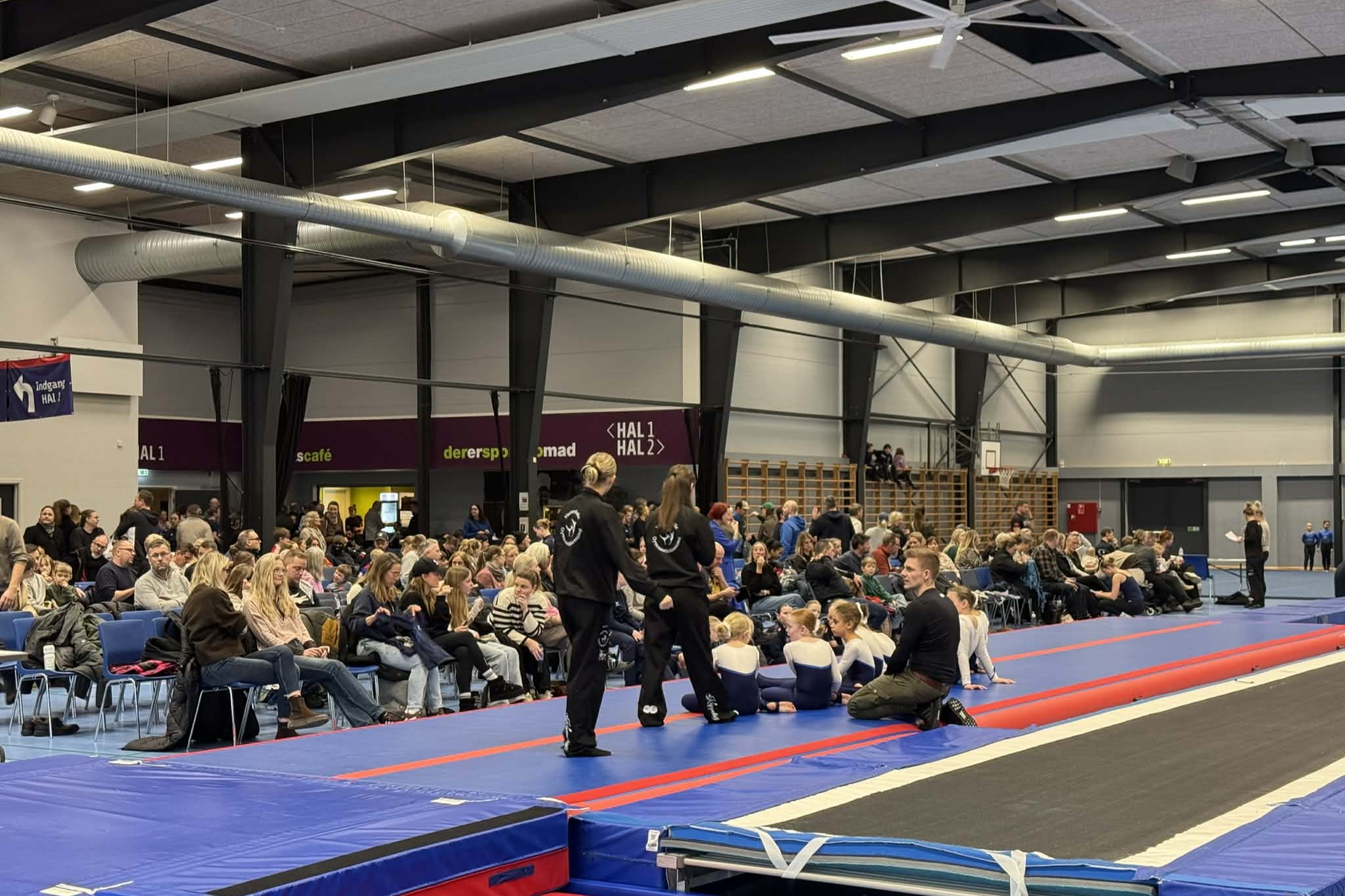 Mange lagde vejen forbi Herlufsholm Idrætscenter søndag for at se gymnastik på eliteniveau. Foto: Presse