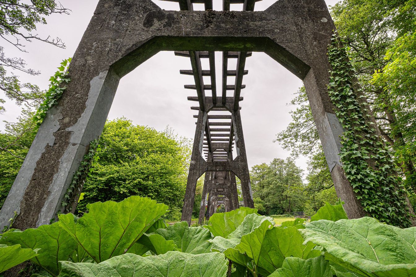 Kranøen. Foto: Næstved Fotoskole