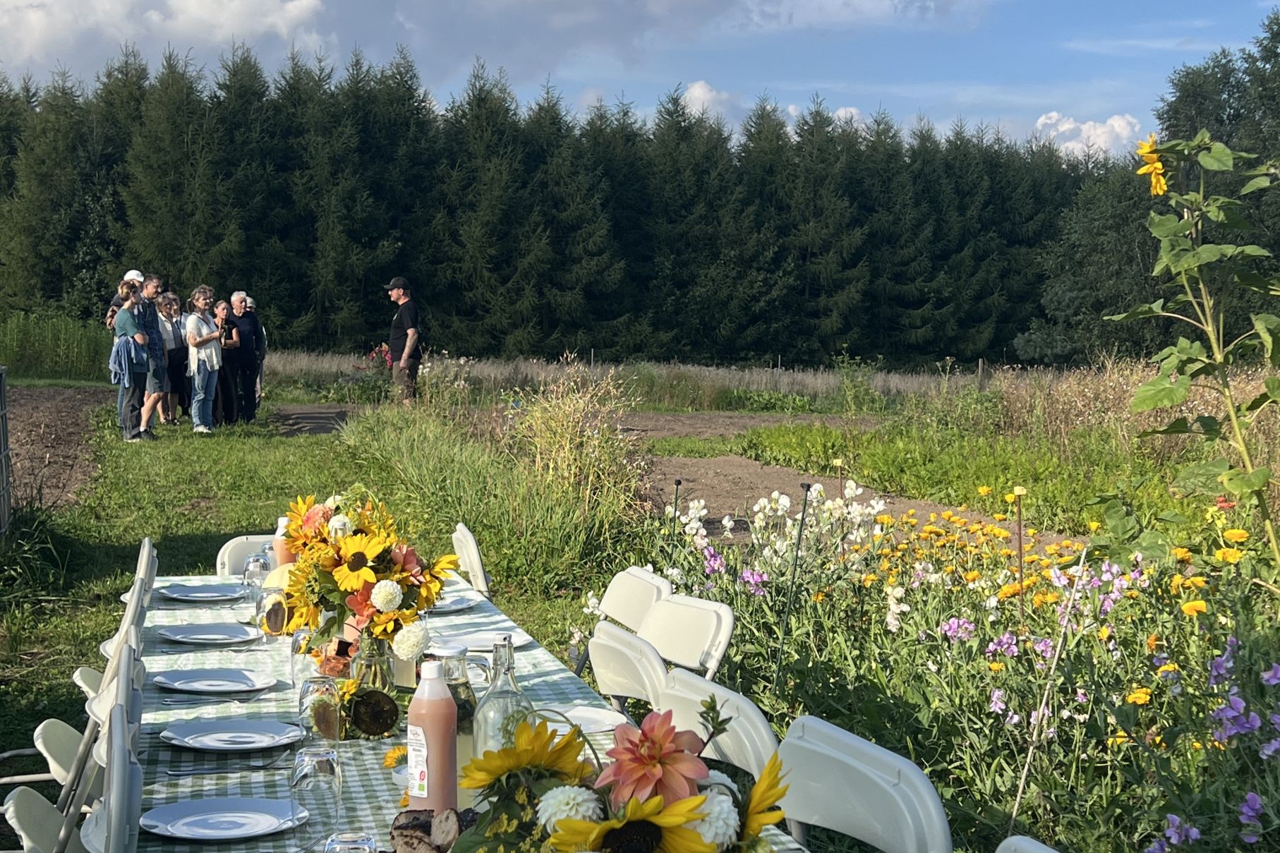 Middag i Marken – der er dækket op til fællesspisning af markens afgrøder, når deltagerne har været på markvandring. Foto: Charlotte Larsen