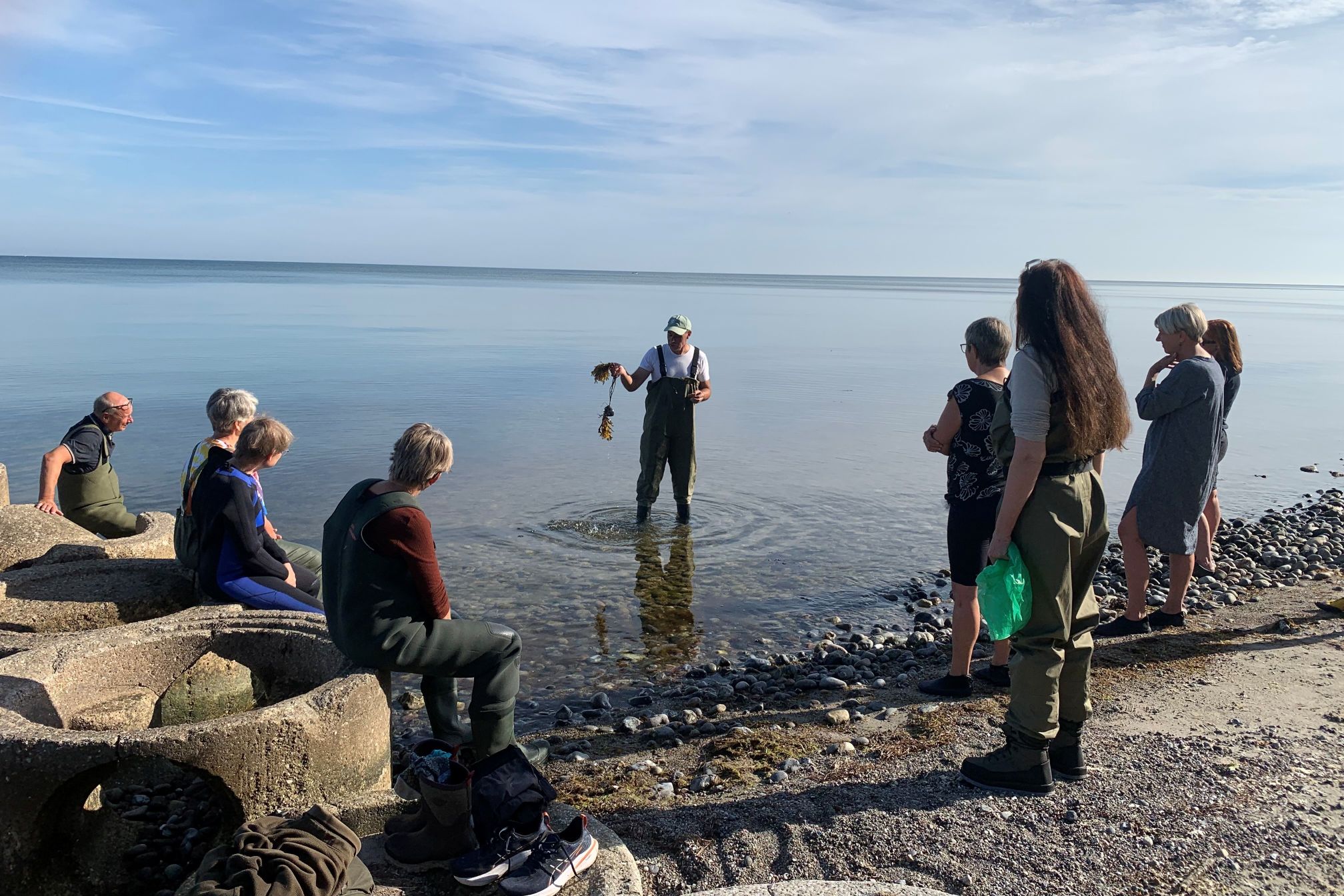 Tangsafari på Stevns – der høstes tang til fælles madlavning og spisning. Foto: Naja Habermann