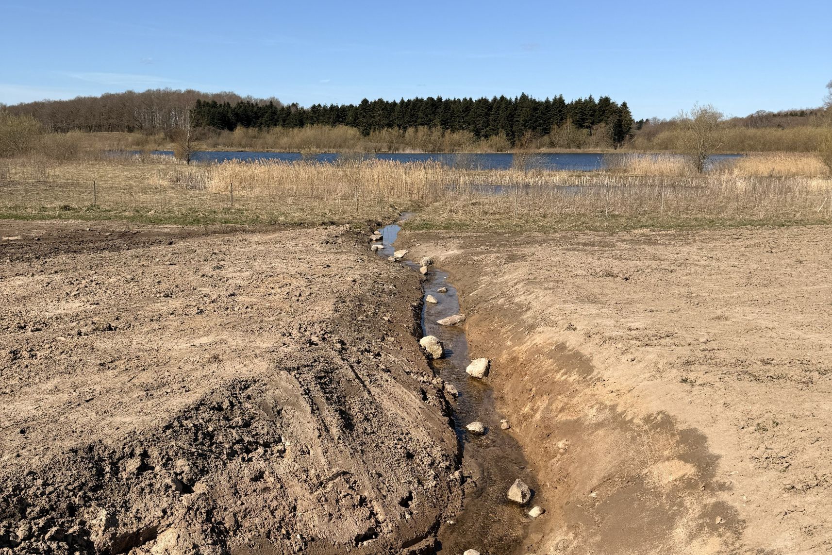 Projektledere fra Team Vand og Natur i Næstved Kommune har stået i spidsen for at genskabe det tidligere landskab, blandt andet ved at fjerne drænrør og genåbne vandløb.