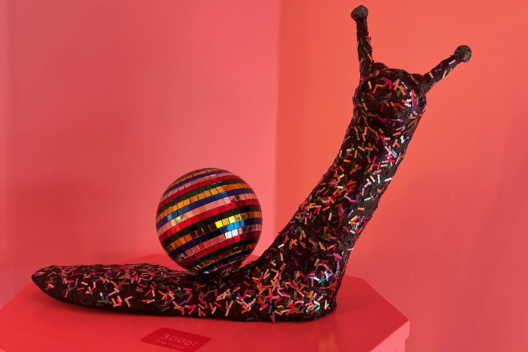 Anne Vestergaard har blandt andet lavet "Disco Sneglen". Foto: John Ringstrøm