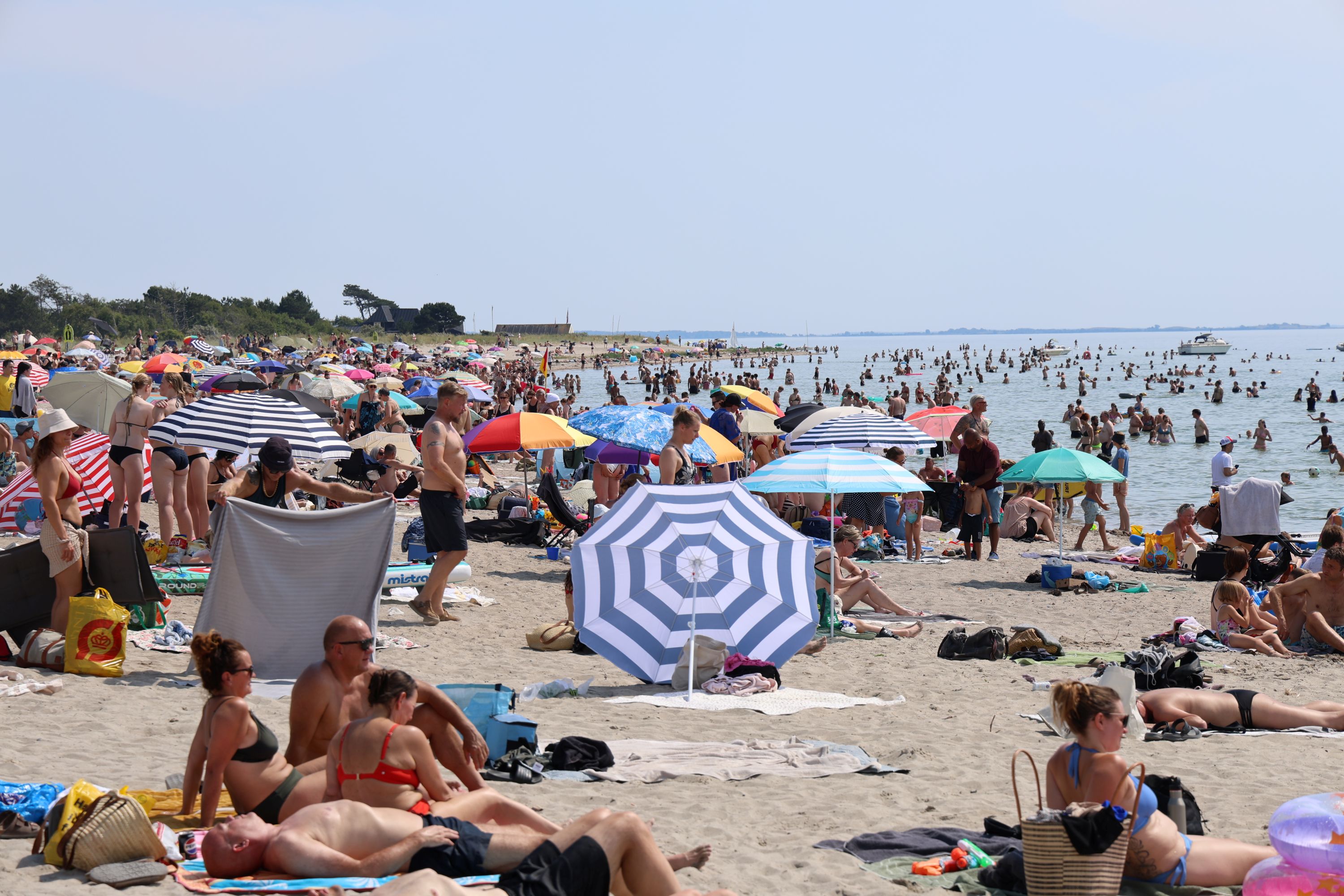 Enø Strand var som fluepapir på den varmeste dag nogensinde. Foto: John Ringstrøm