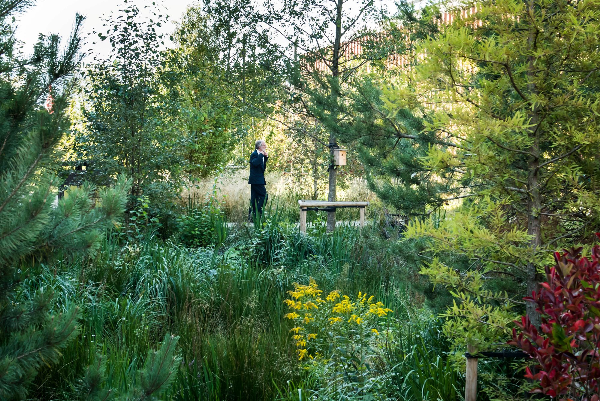 11.000 m2 bliver en ny grøn bypark i Rådmandshaven. Foto: SLA